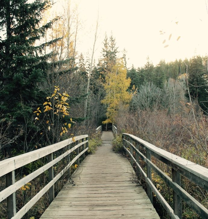 River Valley en Automne