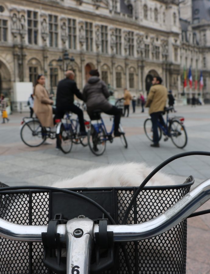 Paris à vélo c’est quelque chose !