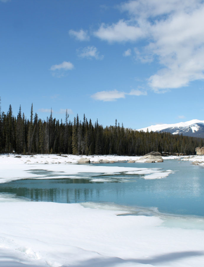 RoadTrip en Alberta: Rockies you Rock !