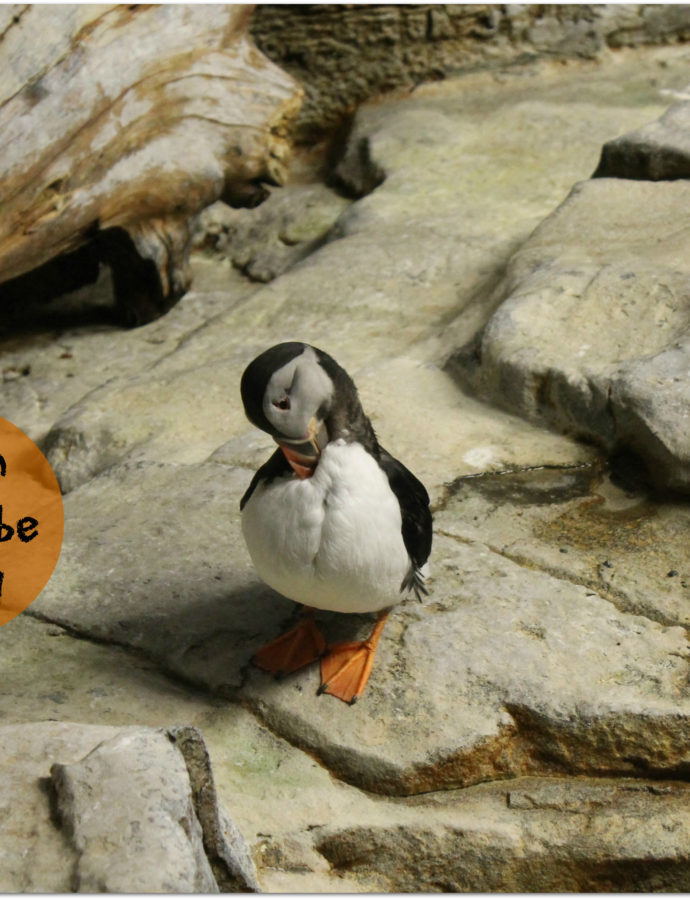 Le Biodôme, mouaiiiiis bof… !