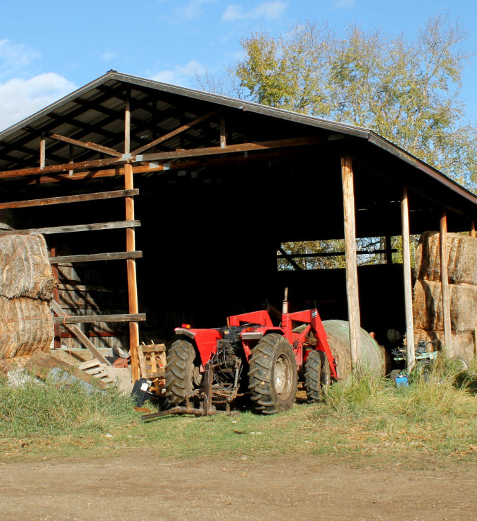 Le bonheur est dans la ferme