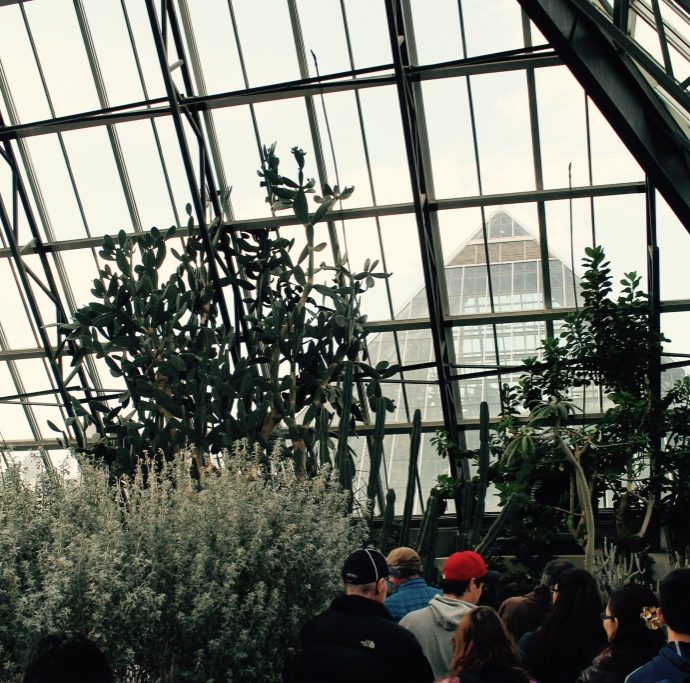 Muttart Conservatory