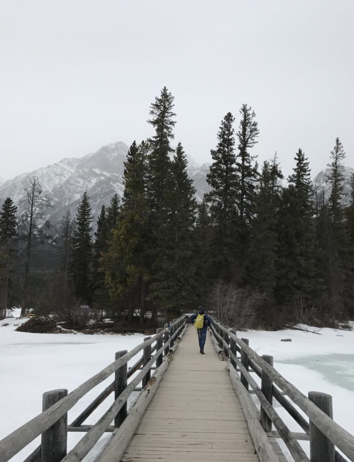 Pyramid Island : Une Jolie Île en Plein Jasper