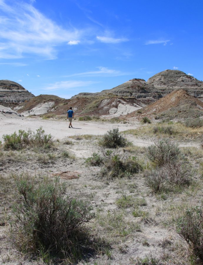 On a Campé au Dinosaur Provincial Park !