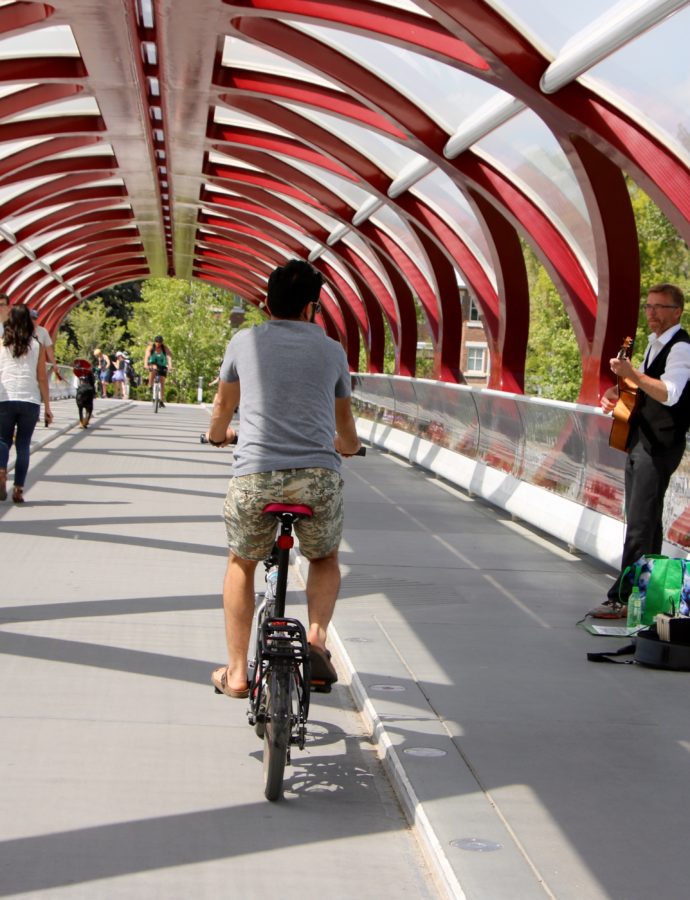 🚲 Cycle Alberta | Balade le long de Bow River à Calgary 